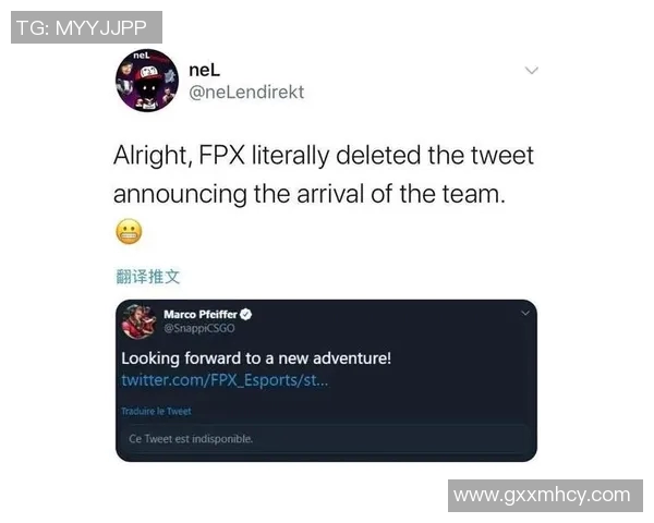 深入分析FPX战队选手在CSGO中的个人能力与战术影响 深入分析FPX战队选手在CSGO中的个人能力与战术影响