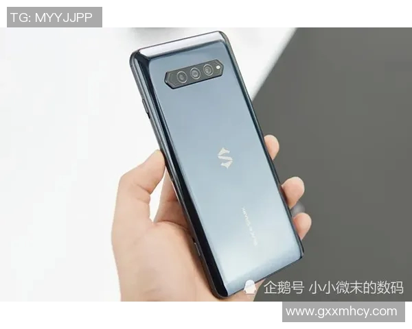 s15电竞总决赛深度解析FPX战队技术优势与对手对比分析 s15电竞总决赛深度解析FPX战队技术优势与对手对比分析