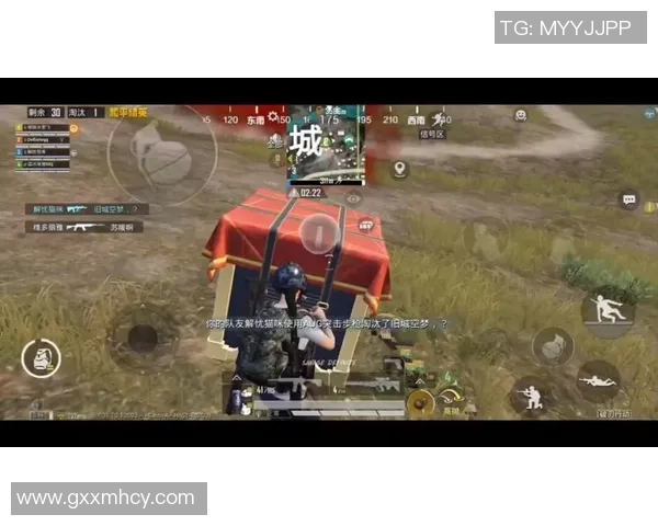 和平精英心理素质排行榜揭晓BLG战队荣登第九名引发关注